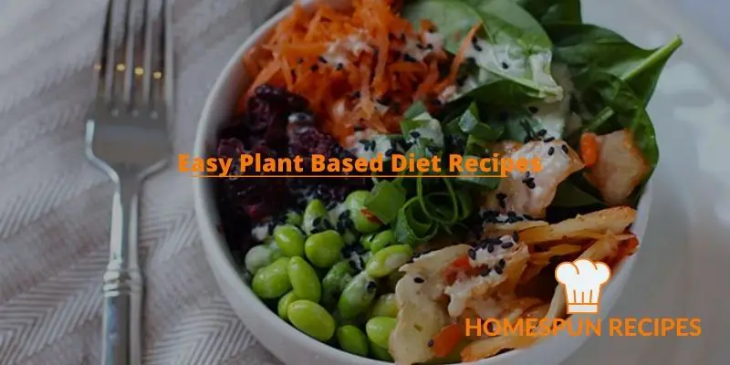 Easy Plant Based Diet Recipes